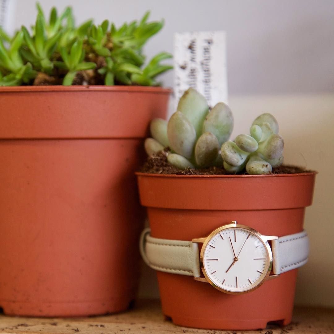 fte3011-rose-gold-grey-ladies-watch